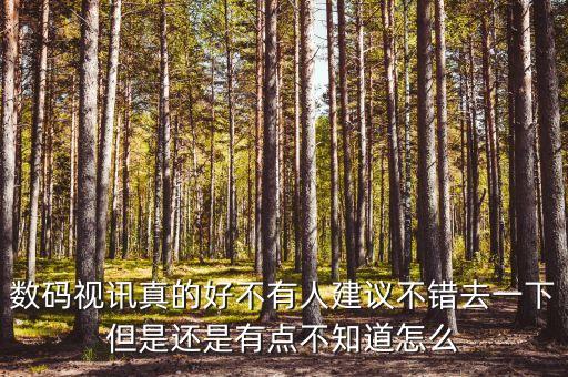 數(shù)碼視訊真的好不有人建議不錯去一下但是還是有點不知道怎么