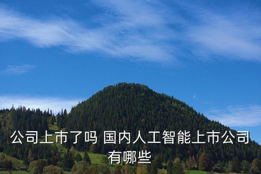 十大人工智能上市公司排名，人工智能龍頭股有哪些