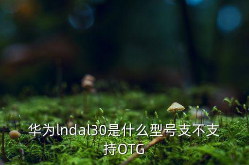 華為lndal30是什么型號(hào)支不支持OTG