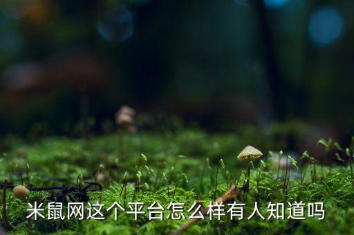 米菓中國(guó)平臺(tái)怎么樣，米鼠網(wǎng)這個(gè)平臺(tái)怎么樣有人知道嗎