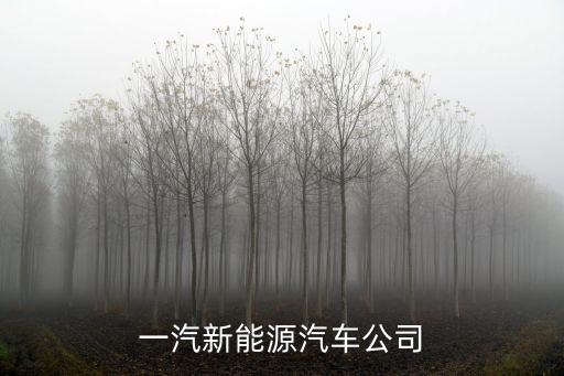 一汽新能源汽車公司
