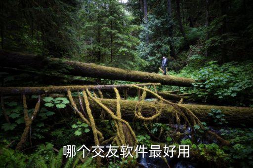 交友軟件哪個(gè)最靠譜，什么交友軟件比較靠譜
