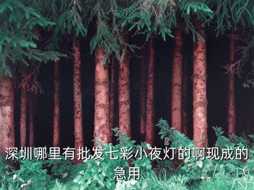 七彩旋轉(zhuǎn)燈籠批發(fā)廠家，深圳哪里有批發(fā)七彩小夜燈的啊現(xiàn)成的急用