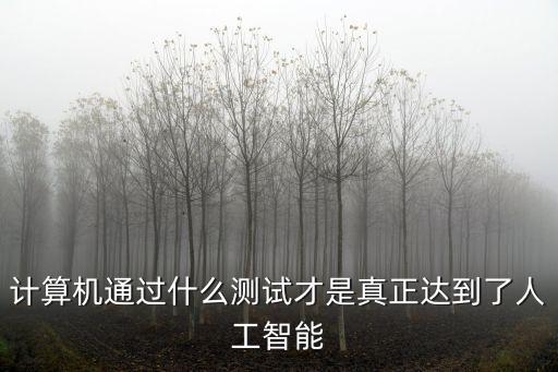 計(jì)算機(jī)通過什么測試才是真正達(dá)到了人工智能