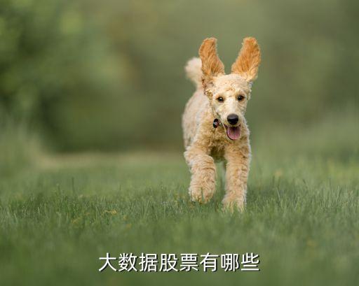 大數(shù)據(jù)股票有哪些