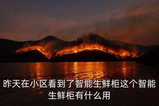 昨天在小區(qū)看到了智能生鮮柜這個(gè)智能生鮮柜有什么用