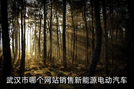 武漢市哪個(gè)網(wǎng)站銷售新能源電動(dòng)汽車