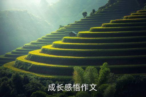 賦能成長心得體會100字，有關成長感悟的作文5篇