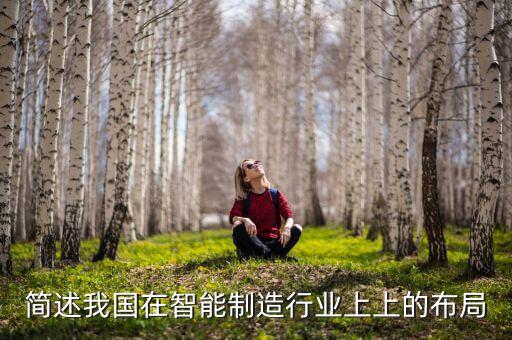 簡(jiǎn)述我國(guó)在智能制造行業(yè)上上的布局