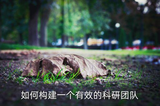成立人工智能研究團(tuán)隊(duì)，成立一個(gè)計(jì)算機(jī)研發(fā)團(tuán)隊(duì)需要多少人