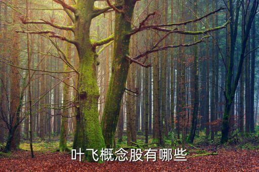 元宇宙概念股有哪些股票，AMC概念股都有哪些股票