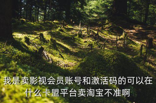 影視vip卡盟，我是賣影視會(huì)員賬號(hào)和激活碼的可以在什么卡盟平臺(tái)賣淘寶不準(zhǔn)啊