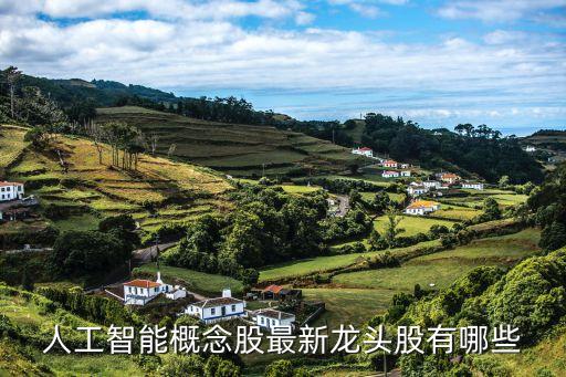 人工智能行業(yè)龍頭股票有哪些，人工智能龍頭股有哪些