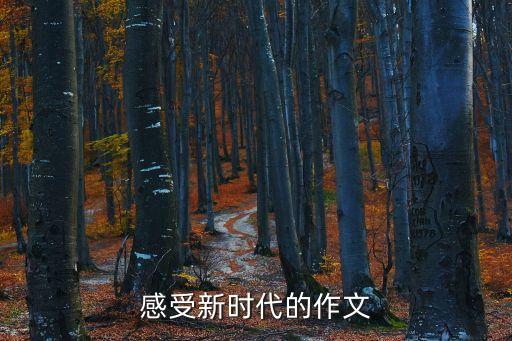 新時代偉大感想300，感受新時代作文400字小學