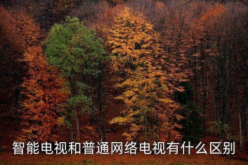 智能電視和普通網(wǎng)絡(luò)電視有什么區(qū)別
