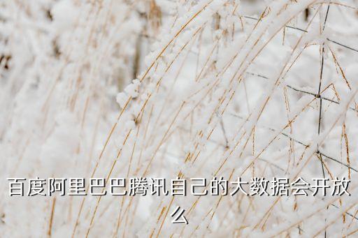 騰訊大數(shù)據(jù)，百度阿里巴巴騰訊自己的大數(shù)據(jù)會開放么