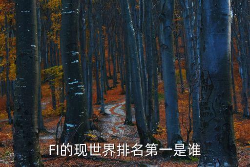 FI的現(xiàn)世界排名第一是誰