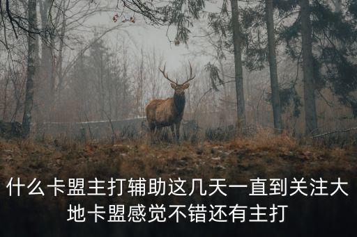 什么卡盟主打輔助這幾天一直到關注大地卡盟感覺不錯還有主打
