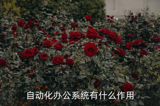辦公自動(dòng)化的作用與意義，辦公自動(dòng)化的作用