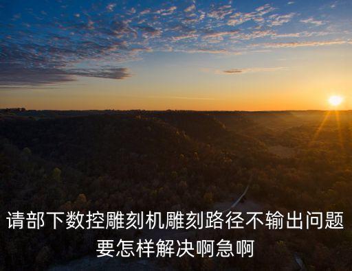 請部下數(shù)控雕刻機雕刻路徑不輸出問題要怎樣解決啊急啊