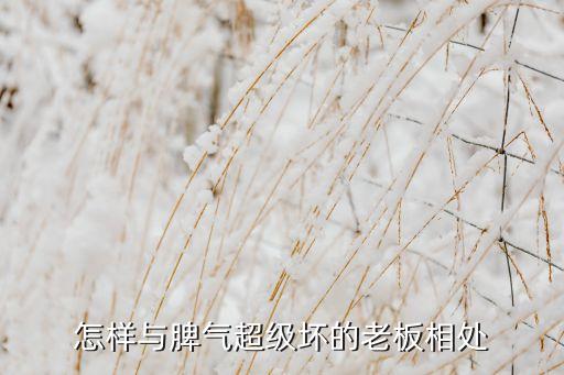 怎樣與脾氣超級(jí)壞的老板相處