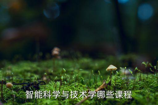 智能科學(xué)與技術(shù)學(xué)哪些課程