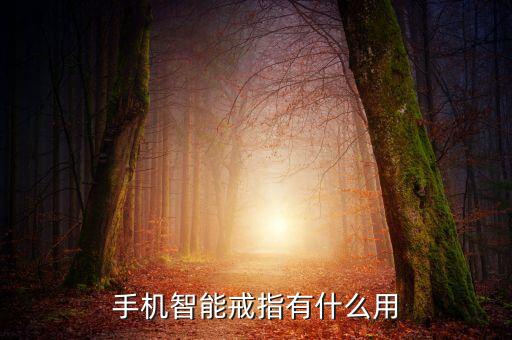 電子戒指功能介紹，nfc魔戒是什么有什么用