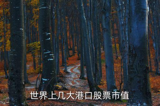 珠海港市值，世界上幾大港口股票市值