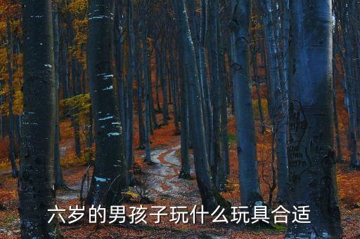 6歲小孩玩啥，六歲的男孩子玩什么玩具合適