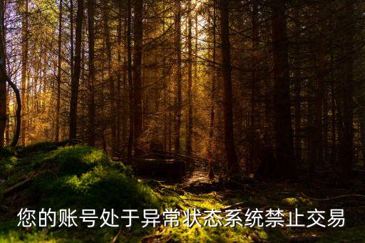 彩虹云商城自助下單平臺，您的賬號處于異常狀態(tài)系統(tǒng)禁止交易