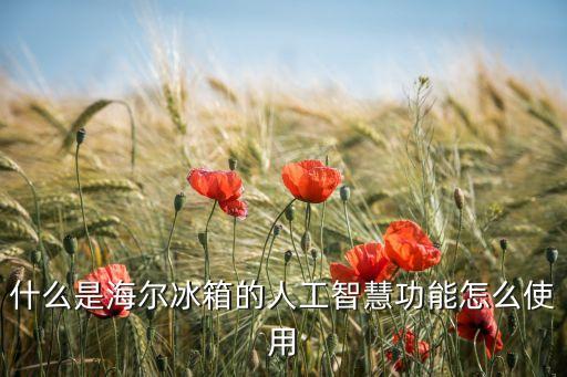 什么是海爾冰箱的人工智慧功能怎么使用