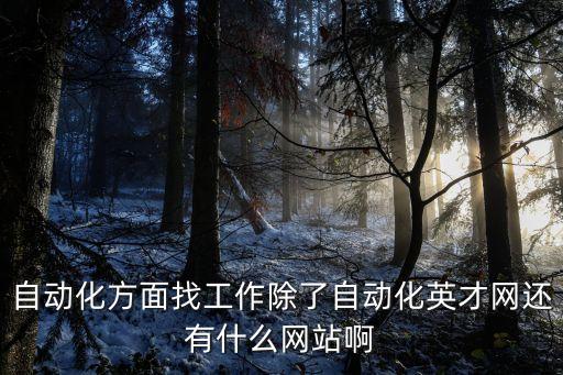 自動(dòng)化方面找工作除了自動(dòng)化英才網(wǎng)還有什么網(wǎng)站啊