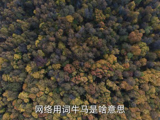 網(wǎng)絡(luò)用詞牛馬是啥意思