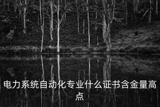電力系統(tǒng)自動(dòng)化專業(yè)什么證書(shū)含金量高點(diǎn)
