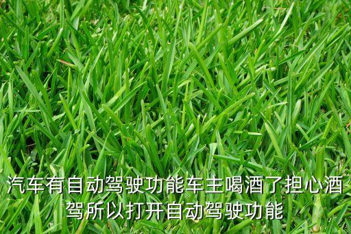 汽車有自動(dòng)駕駛功能車主喝酒了擔(dān)心酒駕所以打開自動(dòng)駕駛功能