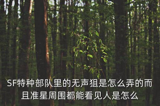 SF特種部隊里的無聲狙是怎么弄的而且準(zhǔn)星周圍都能看見人是怎么