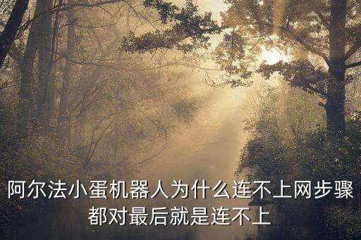 阿爾法小蛋機(jī)器人為什么連不上網(wǎng)步驟都對最后就是連不上