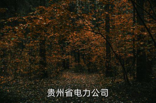 貴州能輝電力建設(shè)公司，貴州電力工程公司有哪些