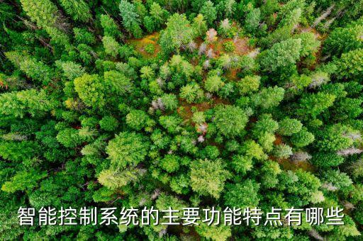 智能控制系統(tǒng)的主要功能特點(diǎn)有哪些
