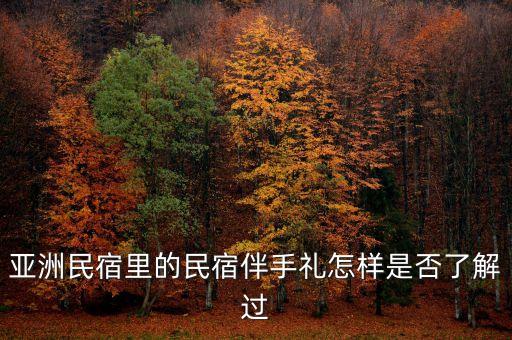 亞洲民宿里的民宿伴手禮怎樣是否了解過