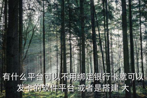 有什么平臺(tái)可以不用綁定銀行卡就可以發(fā)卡的軟件平臺(tái) 或者是搭建 大