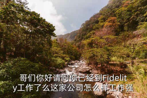 哥們你好請問你已經(jīng)到Fidelity工作了么這家公司怎么樣工作強
