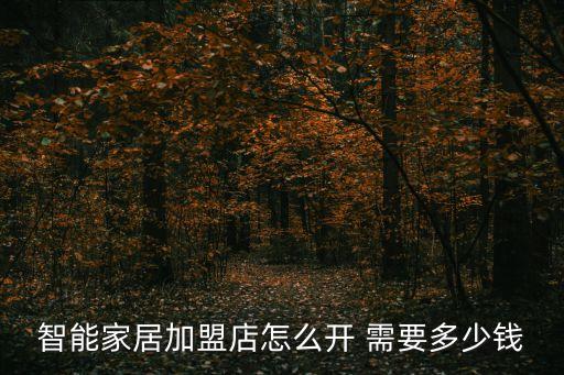 智能家居加盟店怎么開 需要多少錢