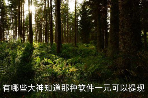有哪些大神知道那種軟件一元可以提現(xiàn)