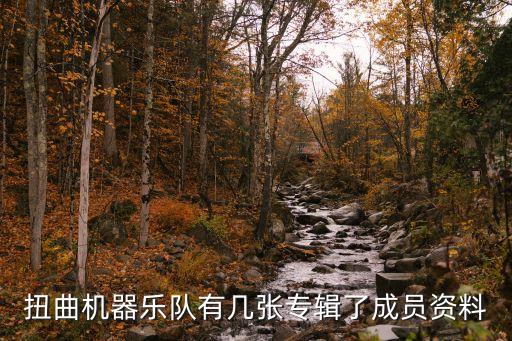 扭曲機(jī)器樂(lè)隊(duì)有幾張專輯了成員資料