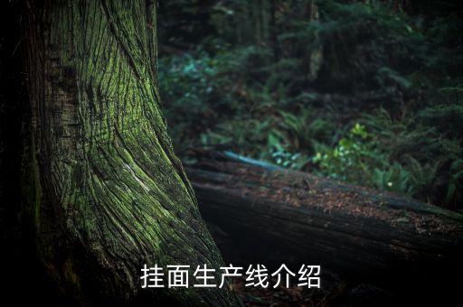 面條烘干設(shè)備掛面生產(chǎn)線，掛面生產(chǎn)烘干線哪個(gè)牌子的質(zhì)量好