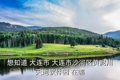想知道 大連市 大連市沙河區(qū)黃泥川天地軟件園 在哪