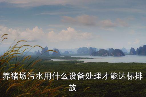 養(yǎng)豬場(chǎng)污水用什么設(shè)備處理才能達(dá)標(biāo)排放