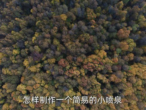 怎樣制作一個簡易的小噴泉