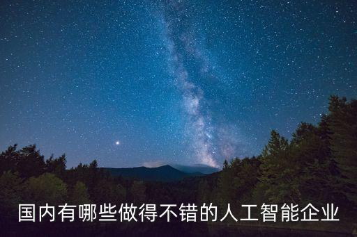 國內(nèi)有哪些做得不錯的人工智能企業(yè)